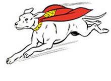 Krypto in flight, by Curt Swan, for DC Comics